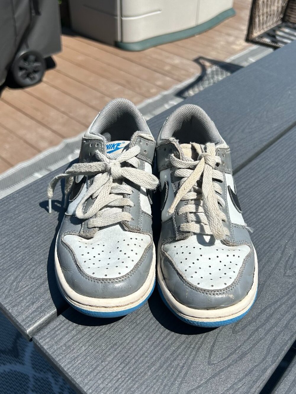 Nike Dunk Low Cool Grey Light Photo Blue Youth